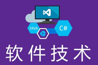 湖南中專軟件技術專業對口升學路徑 單招學校與金融服務外包機遇